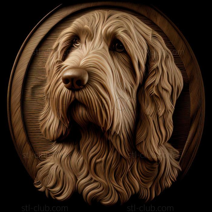 st Otterhound dog